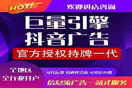 SEM运营公司案例解析：精准广告投放技巧